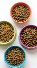 Overhead View Of Four Colorful Bowls Filled With Dry Pet Food on White Background