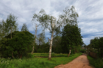 Fototapeta premium A small country road in the village.