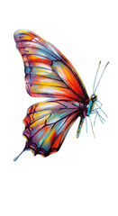 Painted Butterfly Illustration Showing Vivid Colors and Wing Details on Black