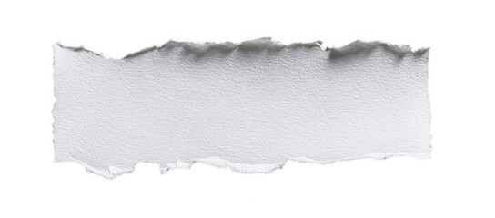 torn paper on white background