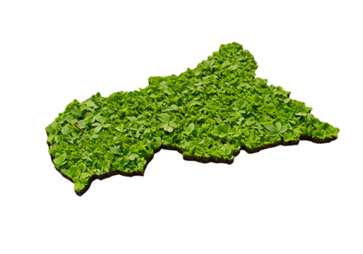 Isolated 3D Green Leaf Map of Central African Republic on Black Background