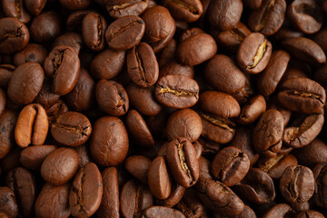 Coffee beans, shopping online for export or import food product.