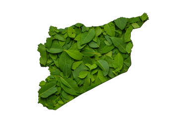 Illustration Syria Map Filled With Green Leaves Against Black Background