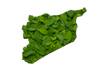 Illustration Syria Map Filled With Green Leaves Against Black Background