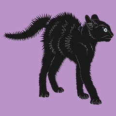 Frightened Black Cat with Arched Back on Purple Background – Halloween Scary Vector Illustration

