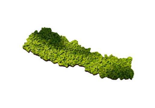 Isolated 3D Illustration Of Nepal Map Made Of Green Leaves on Black Background