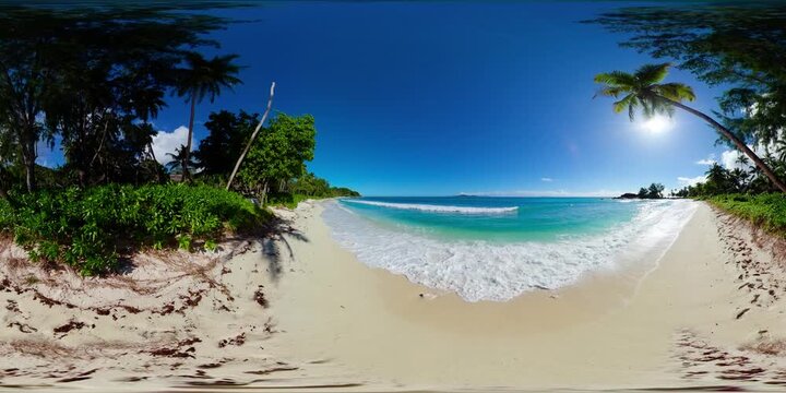 Sandy beach with lush greenery and palm trees, accompanied by calm ocean waves under a clear sky. Praslin, Seychelles. Constance Lemuria Beach. 360 Degree view.