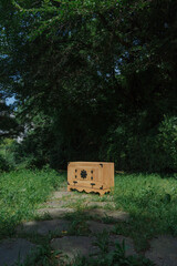 Wooden chest sits outdoors in a grassy area, framed by foliage and trees, adding to outdoor aesthetics.