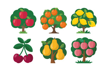 Citrus and cherry tree icons, fruit tree vector, orchard illustration, garden fruit collection, colorful tree set