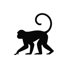 Black silhouette of a monkey walking with a curled tail