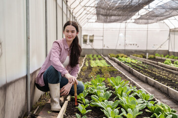 Asian female student crouching near organic lettuce plants inside greenhouse during agriculture...
