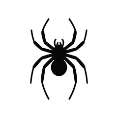 Silhouette of a black spider with eight legs on a white background
