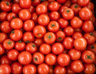 Fresh Ripe Tomatoes