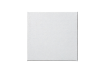 Blank, square, white surface.  A plain, matte white canvas or panel.  Slight texture visible