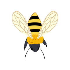worker bee cartoon vector illustration