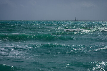 Sea beach sand. Scenic sea beach backdrop. Paradise ocean view. Foamy ocean background. Exotic...