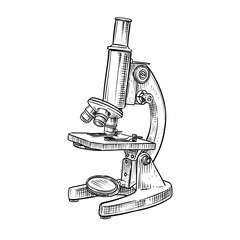 microscope vector hand drawn illustration