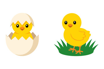 Hatching chick vector, Easter egg cartoon, baby bird icon, spring celebration illustration, cute animal design