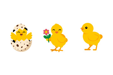 Spring chicks cartoon, Easter egg hatching, baby bird icon set, cute yellow chick vector, holiday animal illustration