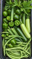 Obraz premium Photo of a Variety of Fresh Green Vegetables in a Black Crate Top View