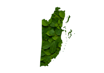 Isolated Belize Map Illustration with Lush Green Leaf Texture Background