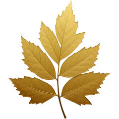 Isolated Golden Leaf Illustration On Transparent Background Nature Autumn