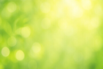 Obraz premium Fresh Green and Light Yellow Bokeh Background – Soft Sunlight Through Leaves with Copy Space