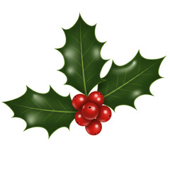 Isolated Holly Berry Illustration with Red Berries and Green Leaves on Transparent Background