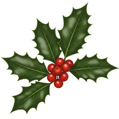 Isolated Holly Berry Illustration with Red Berries and Green Leaves