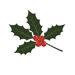 Isolated Holly Illustration with Red Berries and Green Leaves