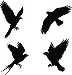 stylish elegant modern detailed professional high quality Silhouette of Birds in Flight on Transparent Background