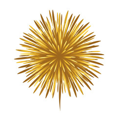 Isolated Gold Fireworks Burst Illustration Against Transparent Background
