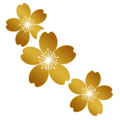 Isolated Golden Flowers Floral Illustration Against Transparent Black Background