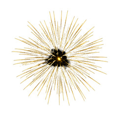 Isolated Golden Fireworks Illustration On Transparent Black Background
