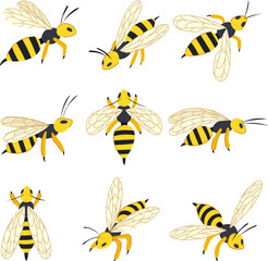 wasp set cartoon vector illustration