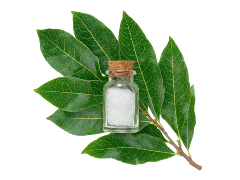 Small glass jar of white crystals nestled on vibrant green leaves, Isolated On White Background, Png Transparent