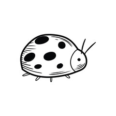 Ladybug walking, showing its spots and antennae in a hand drawn style