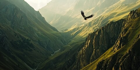 A powerful eagle soaring over a rugged mountain valley, scanning for prey