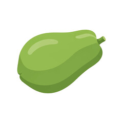 A digital illustration of a whole, unripe green papaya fruit on a white background.