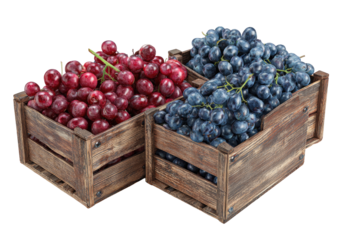 Wooden crates filled with fresh red cherries and dark blue grapes