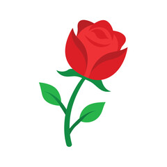 Watercolor single red rose bud illustration on white background for valentines or wedding art