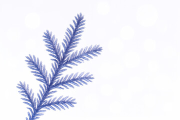 Winter branch with frost-covered needles creating a serene and calming atmosphere in a minimalist setting