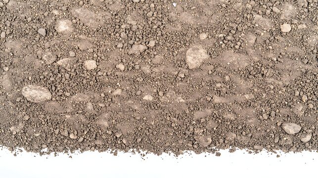 Fototapeta Loose soil spread in natural pattern on white background captured with zoom lens 135mm, focus on granular texture, irregular shapes, and warm earthy tones