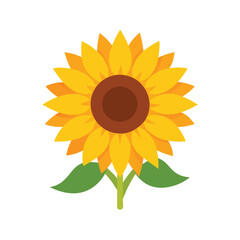Single sunflower bloom in watercolor style with white background for bright cheerful designs