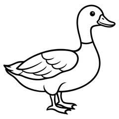 Obraz premium duck vector illustration