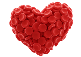 Isolated Red Blood Cell Heart Shape Illustration On Transparent Background