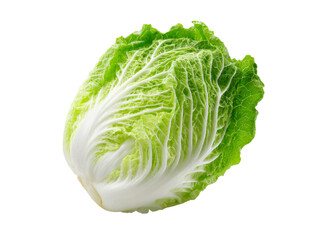 Fresh green napa cabbage isolated on black background, Isolated On White Background, Png Transparent