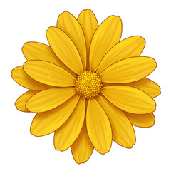 Obraz premium Isolated Yellow Flower Illustration On Black Background