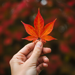 Photo of Hand Holding Vibrant Red Maple Leaf with Autumnal Background