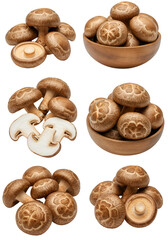 Isolated Shiitake Mushrooms on Transparent Background Food Photo
